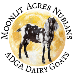 Moonlit Acres Nubians